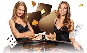9z bet com